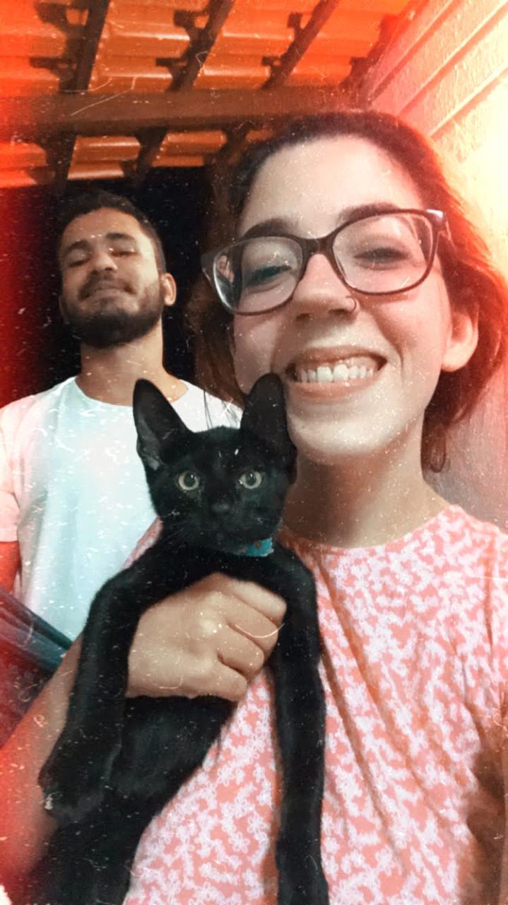 gato preto e sua família