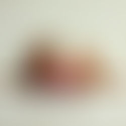 Alimentos Tóxicos para Pets no Fim de Ano: Guia Completo