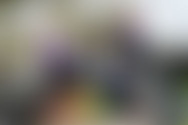 Interview with Stay Lunar