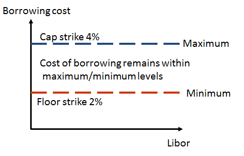 Interest Rate Options