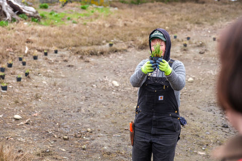 Restoration coordinator Stephanie holding up a plant as she demonstrates planting methods