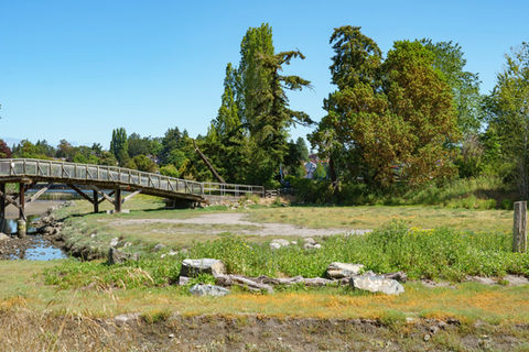 Looking over to the bridge from the salt marsh