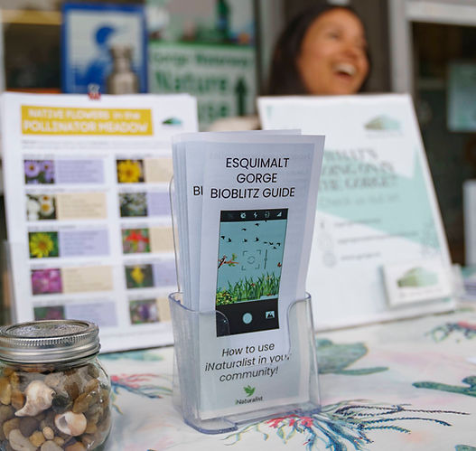 Photograph of a tabling set up for our BioBlitz, with the Esquimalt Gorge BioBlitz Guide in the forefront