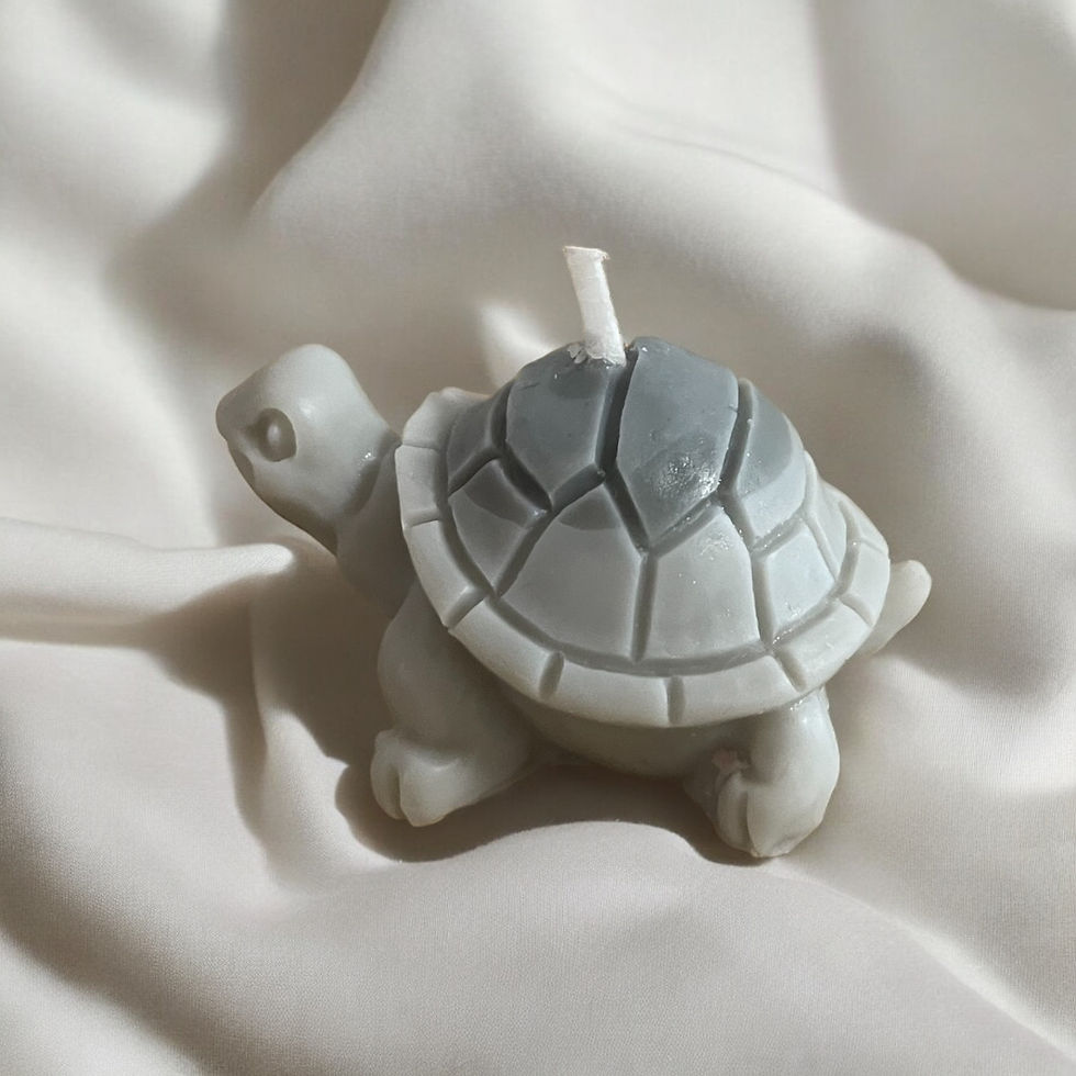 Little turtle