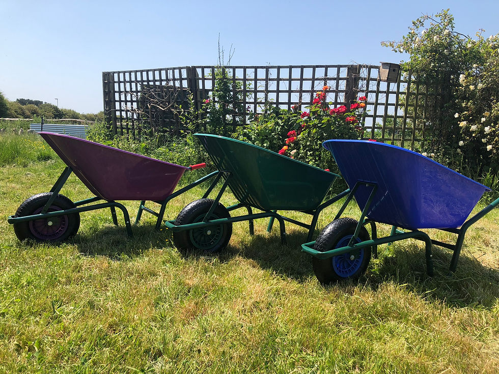 Thumbnail: Pink, Purple, Blue, Green or Plum Wheelbarrow 110 litre