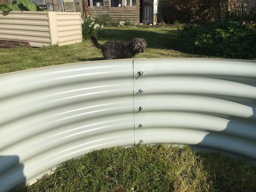 Thumbnail: Circular Raised metal garden bed - planter - 120cm Diameter