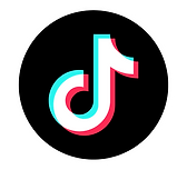tiktok logo png.png