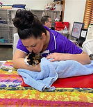 Kitten Rescue