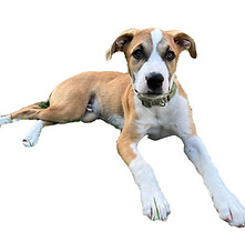 485064333_670169055525701_46594162639234