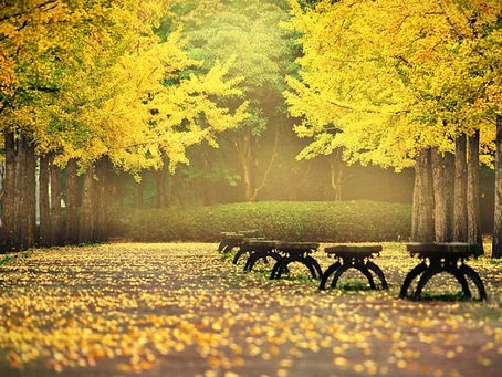 大阪・福島の『ありがとう市場』より、寒い季節にもおすすめの黒糖を使ったドリンクレシピご紹介♪