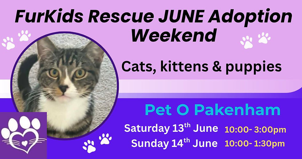 Adoption Day 13th & 14th June