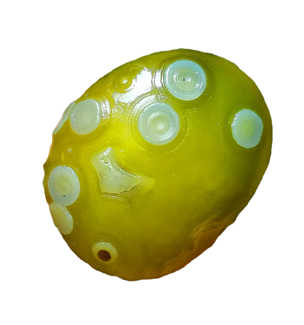 Gobi Agate Lime Eyes Bonsai Suiseki