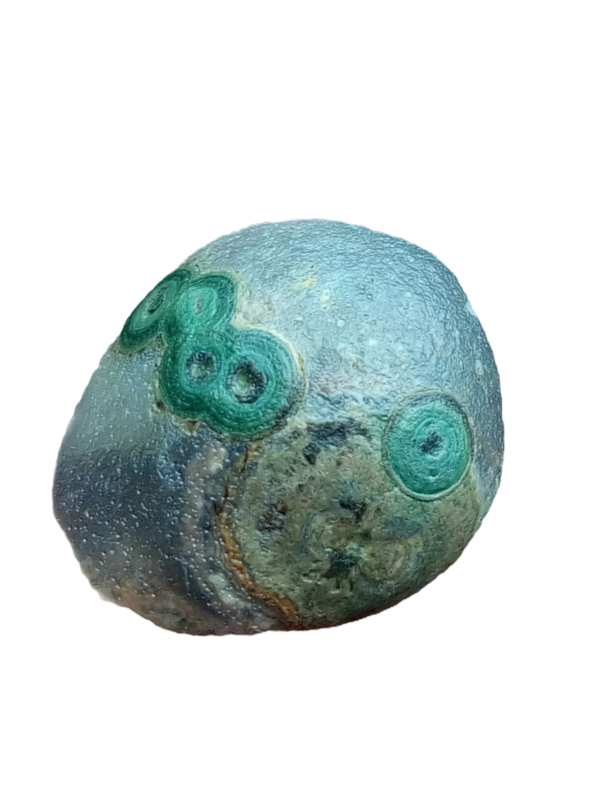 Gobi Agate Green Eyes Bonsai Suiseki