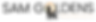 SAM Golden Logo_HORIZONTAL_with-City_3-color.png
