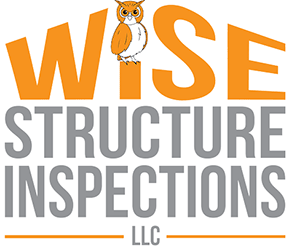 Wise 1c owl-BLINK-logo-half-increment-289x250-SHARPEN.gif