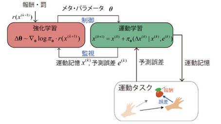 健康を科学で紐解く シリーズ123 「AIとの比較から学習のコツをつかむ脳のメカニズムを解明」