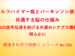 アルツハイマー病とパーキンソン病に共通する脳の仕組み ～脳内の信号伝達を妨げる共通のシナプス機構が明らかに～　－No.583