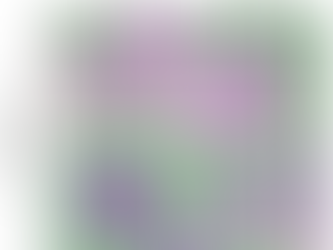 「老化細胞が巨大化する分子メカニズム」－No.277