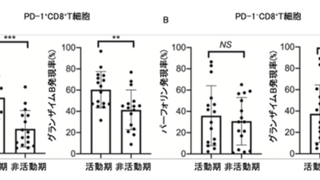 健康を科学で紐解く シリーズ256 「特発性炎症性筋疾患においてPD-1/PD-L1は病態形成に寄与する」