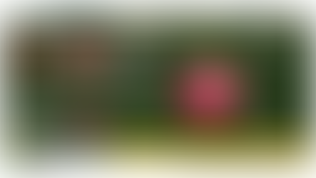 「短鎖脂肪酸がアレルギーを抑制する作用機構を解明」-No.296