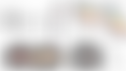 「待つか?あきらめるか? 未来の報酬を待ち続けるための脳機能」-No.372