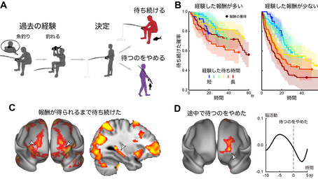 「待つか?あきらめるか? 未来の報酬を待ち続けるための脳機能」-No.372