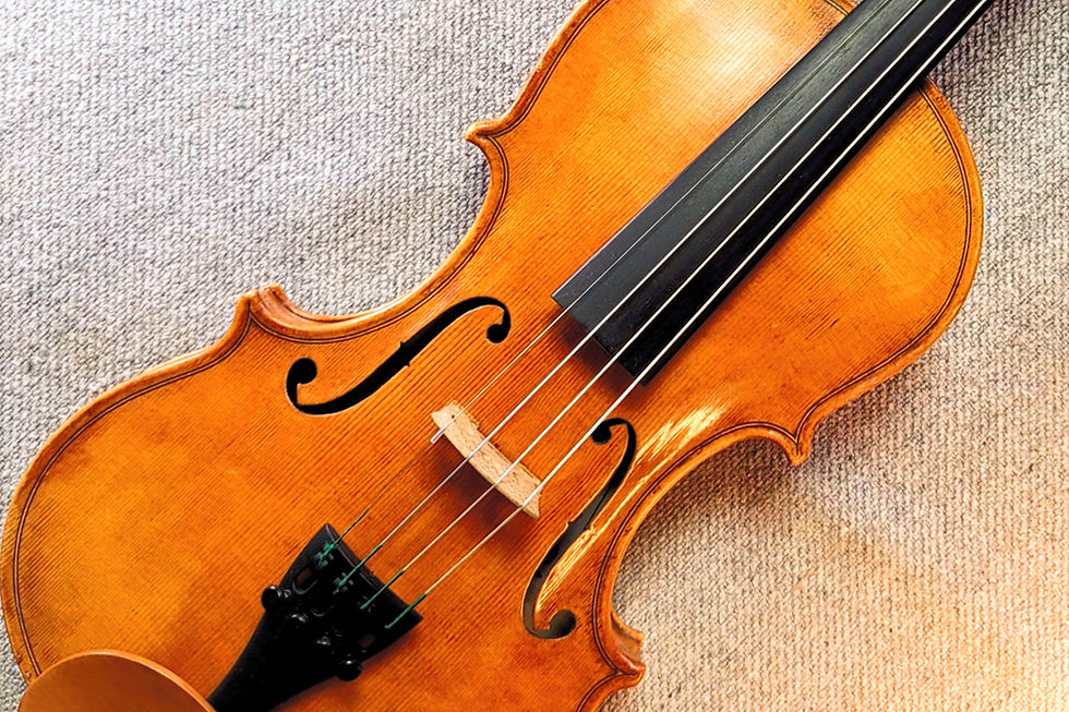 halbe-geige-mieten-graz