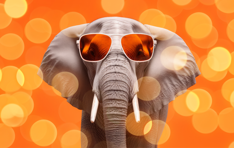 elephant-trustworthy-brand-blog.png