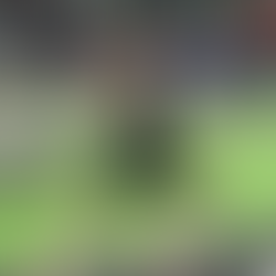 Newsletter: March 6, 2026