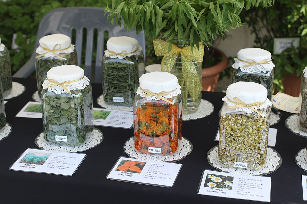 Glass jars filled with dried herb leaves and dried flowers, each tied with a paper doily and twine bow and set beside a small printed card naming the plant inside