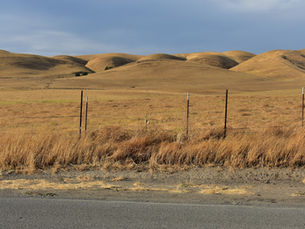 Dry golden hills behind a barbed wire fence, with dusty roadside grass and a strip of pavement in the foreground, under a mostly clear sky