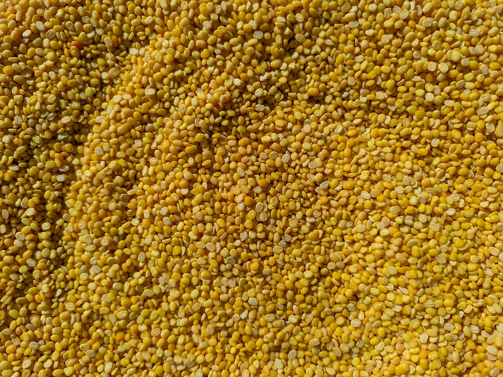 A close, full frame view of small yellow split lentils, dry and uncooked, packed edge to edge