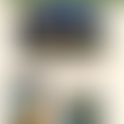 Annual Accomplishments 2024