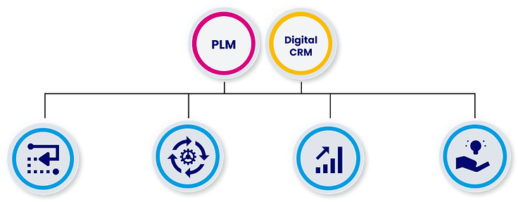 sociacom-cabinet-conseils-plm-crm-gestion-processus-metier-infographie.png