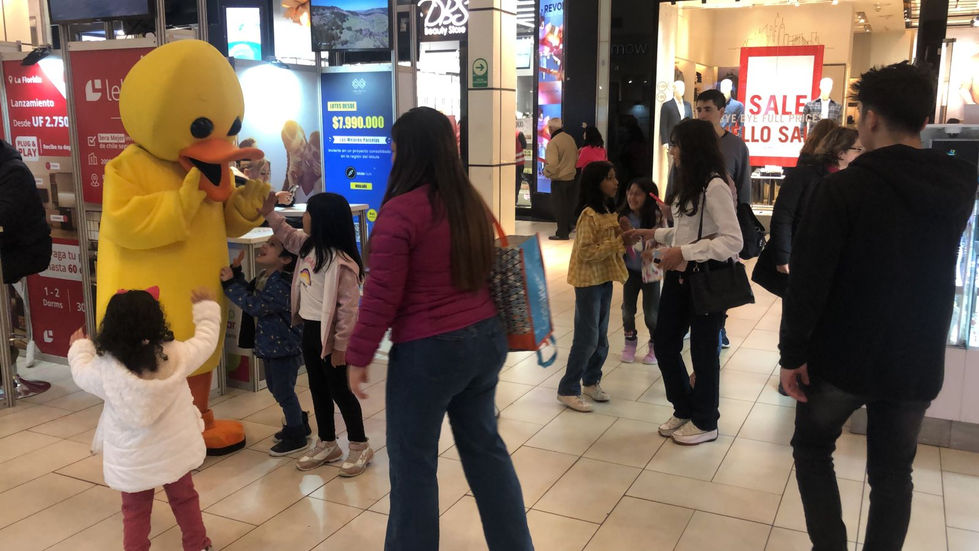 Stand Bco Estado Expo Hogar Mall Plaza Egaña