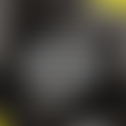 Entrevista a Elio Riso