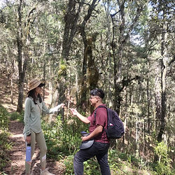 Tour guide handing a plant to a client while explaining its features during the Ixtepeji hiking experience.
