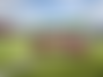 CRÔNICAS DE TORCEDOR #3: SALDO DE FIM DE TEMPORADA