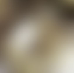 Fonctionnement des BACS à vrac !