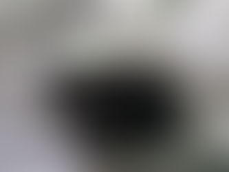 Meet the Team! (My Co-Therapists)