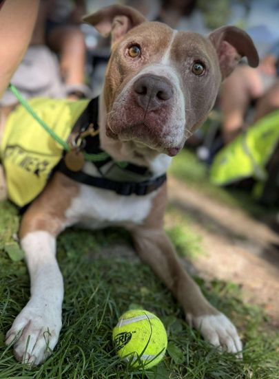 Screenshot 2025-10-09 133941