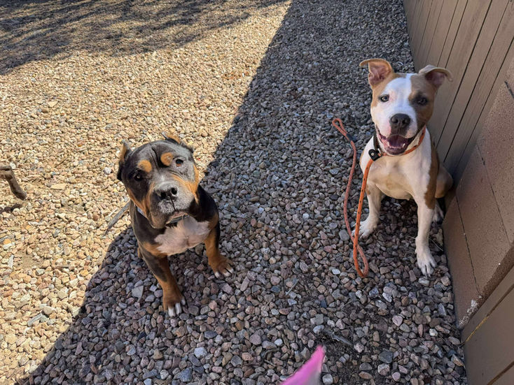 555575993_1698765040796590_6051927931328856099_n