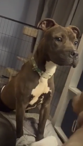 Screenshot 2025-01-03 181550