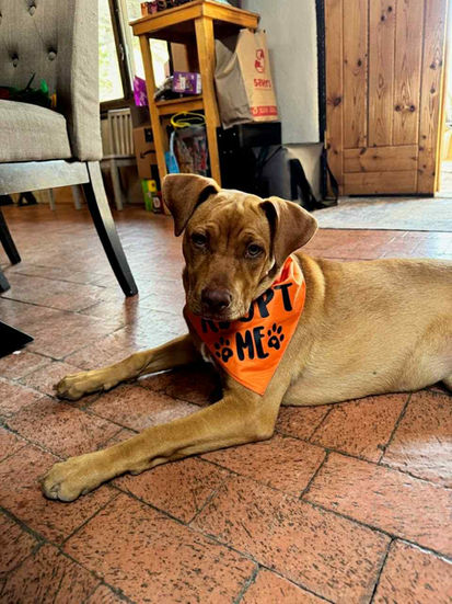 b7995de8-d010-437b-a63e-f192a4a80ed0