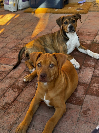 539112452_741472345534180_6640448596149822811_n