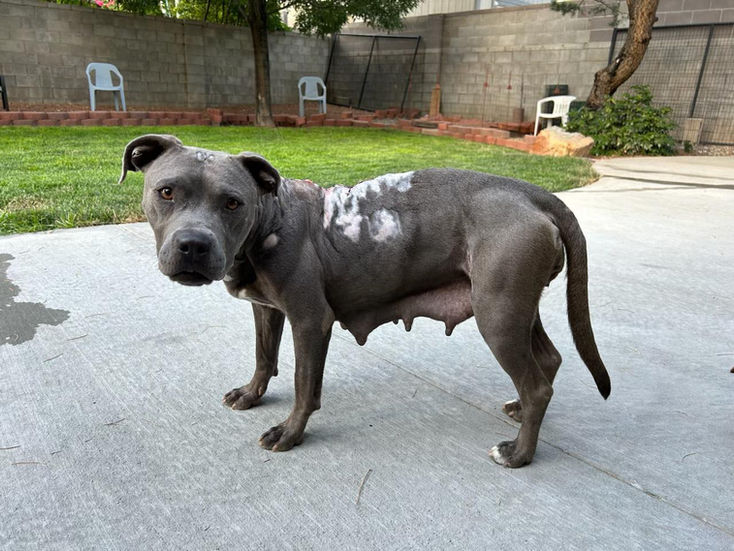 366104472_126502450528787_4991938970355018967_n