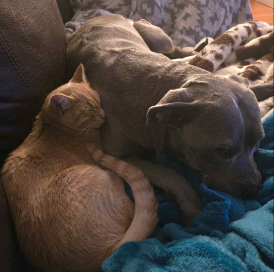 Screenshot 2025-10-09 133532