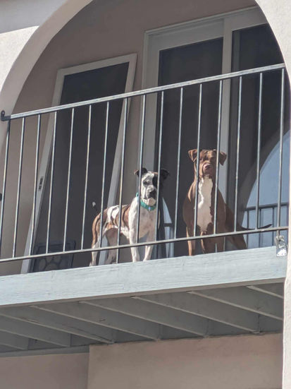 49c80b85-4b56-45be-ab5f-ca178416fb34