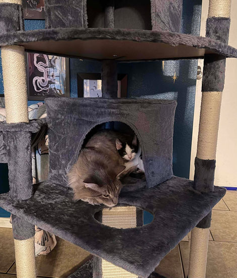 552966873_1348011813403747_1041023994879504705_n