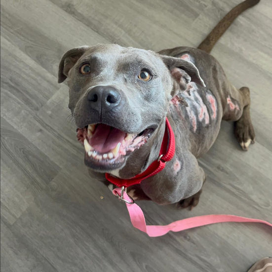 363316743_217012807980139_3566312584794284786_n